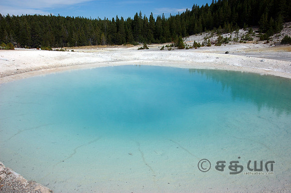 Congress Pool @ Norris Geyser Basin