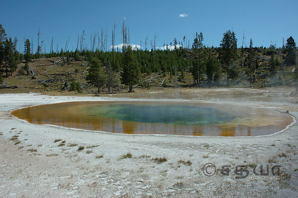 Beauty Pool @ Upper Geyser Basin