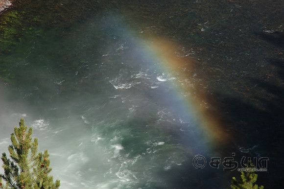Scenery - Rainbow @ Grand Canyon of Yellowstone - Upper Falls