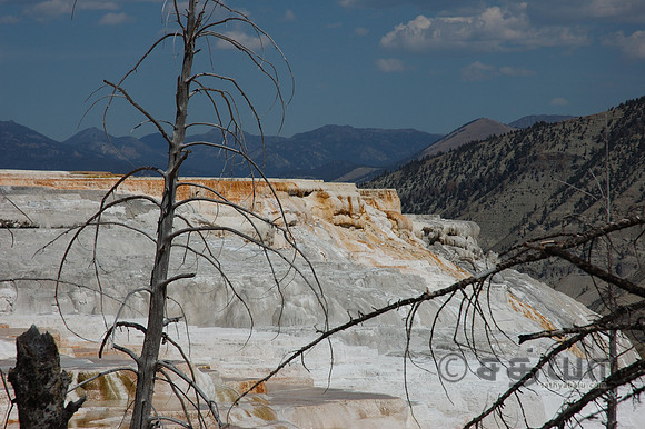 Jupiter Terrace @ Mammoth