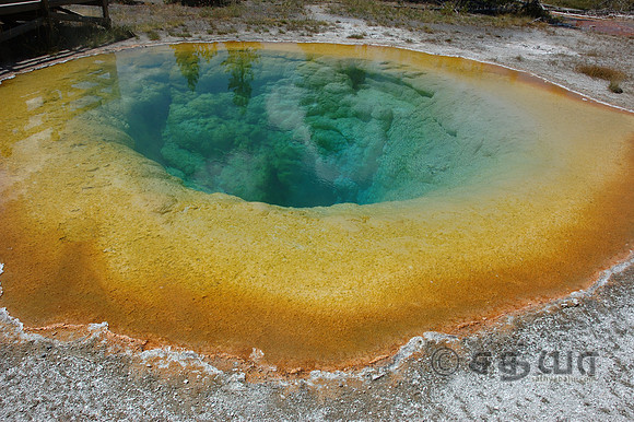 Morning Glory Pool @ Upper Geyser Basin