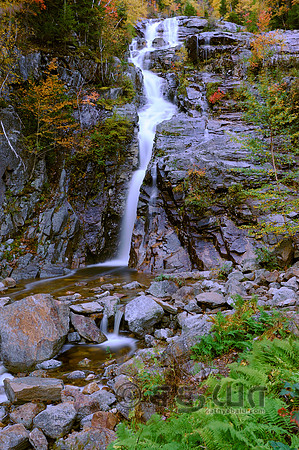 _DSC2875
