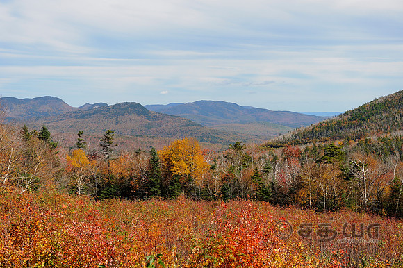 _DSC3092