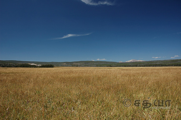 Scenery - Landscape