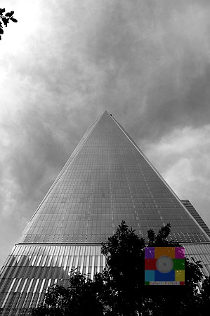 _DSC2884BW