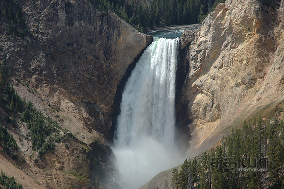 Grand Canyon of the Yellowstone - Lower Falls