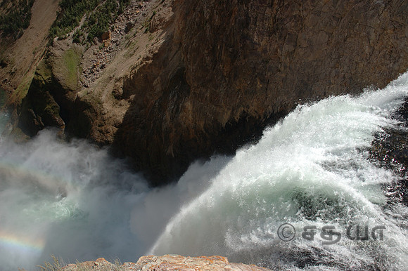 Grand Canyon of the Yellowstone - Brink of Lower Falls