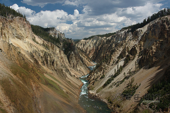 Scenery - Yellowstone River from the Lower Falls of Grand Canyon of the Yellowstone