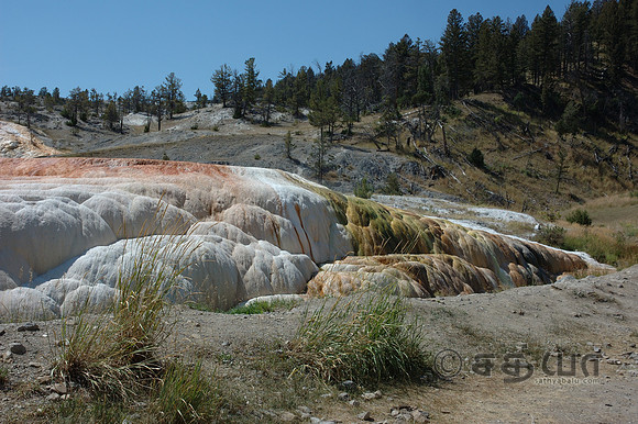 Pallete Spring @ Mammoth