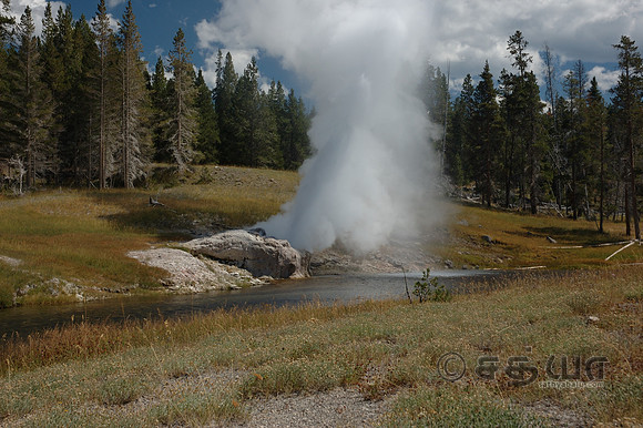 Riverside Geyser @ Upper Geyser Basin
