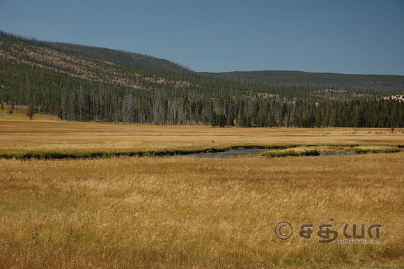 Scenery - Landscape