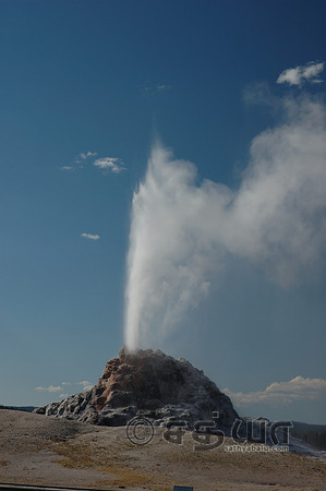 White Dome Geyser @ Firehole Lake Drive