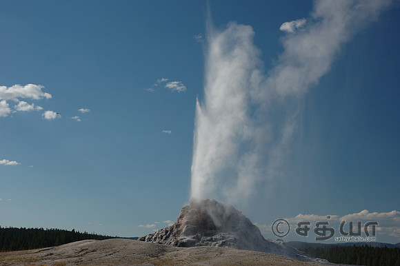 White Dome Geyser @ Firehole Lake Drive