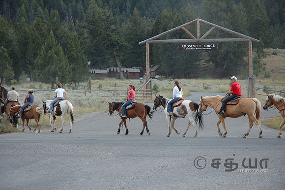 Others - Horseriding
