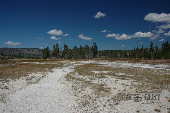 Upper Geyser Basin