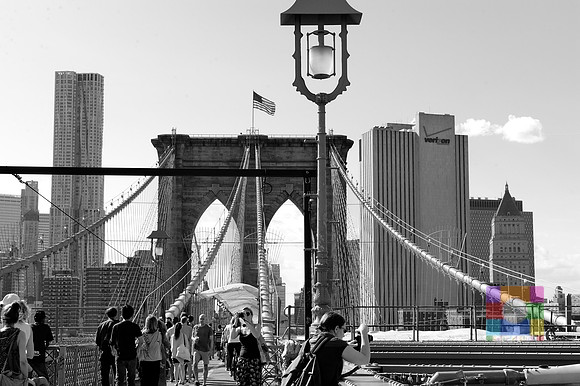 _DSC2678