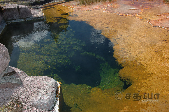 Spring @ Upper Geyser Basin