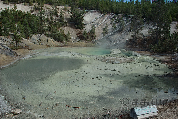 Monarch Geyser Crater @ Norris Geyser Basin