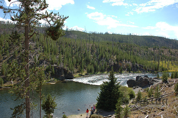 Scenery - Gibbon River