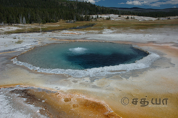 Crested Pool @ Upper Geyser Basin