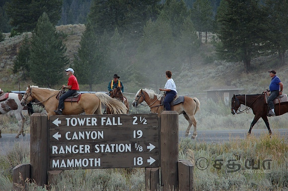 Others - Tower Junction against a Horse riding backdrop