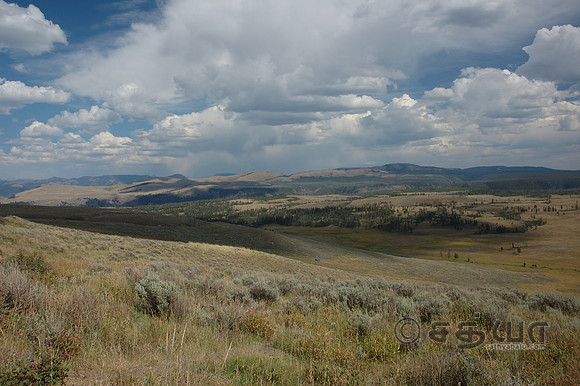 Scenery - Grizley Bear Spotting Area (Canyon Village to Tower)