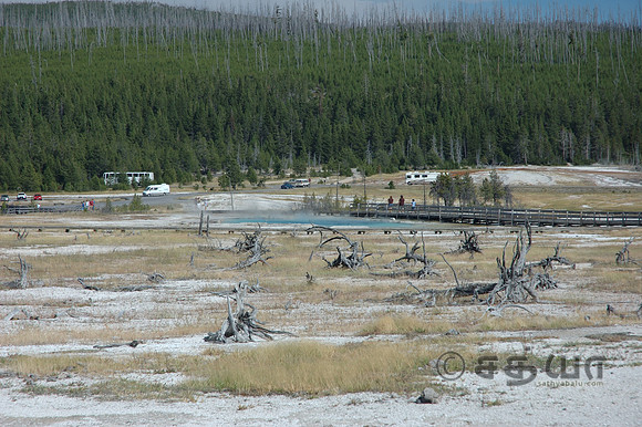 Scenery - Biscuit Basin
