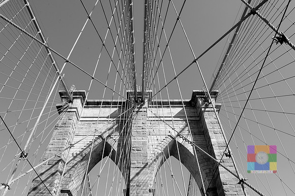 _DSC2690BW