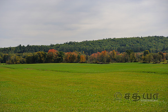 _DSC3024
