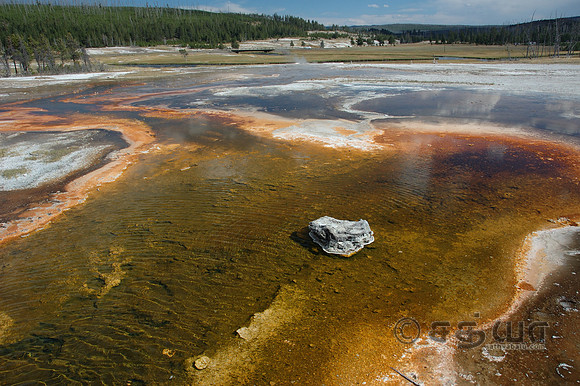 Biscuit Basin - Bacteria Mats