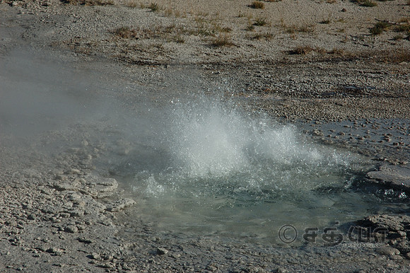 Twig Geyser @ Fountain Paint Pot