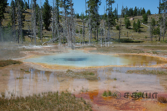 Colorful Springs @ Upper Geyser Basin