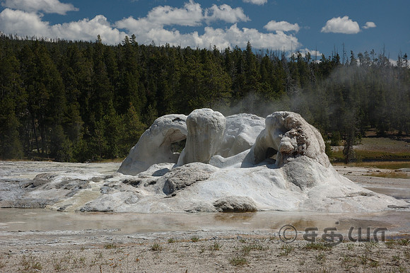 Grotto Geyser @ Upper Geyser Basin