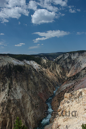 Scenery - Yellowstone River @ Grand Canyon of yellowstone