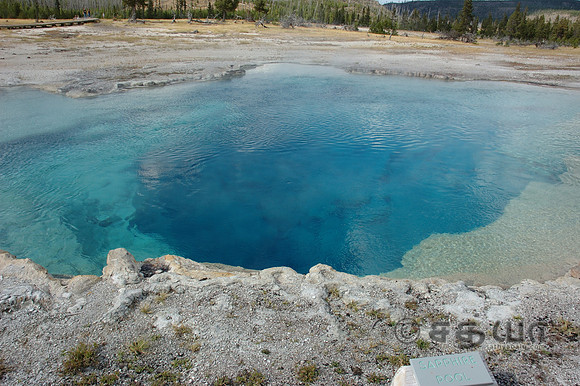 Biscuit Basin - Sapphire Pool
