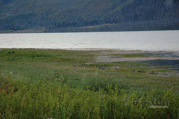 Grand Teton - Snake River