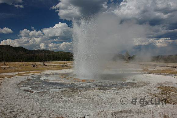 Biscuit Basin - Jewel Geyser
