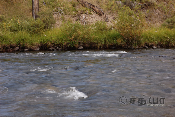 Scenery - Creek