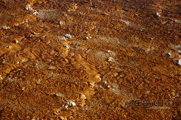 Midway Geyser Basin - thermophilac (heat-loving) bacteria mats