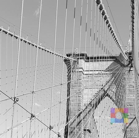 _DSC2689BW