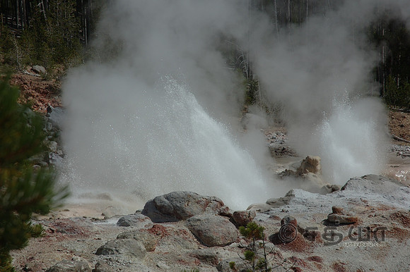 Steamboat Geyser @ Norris Geyser Basin