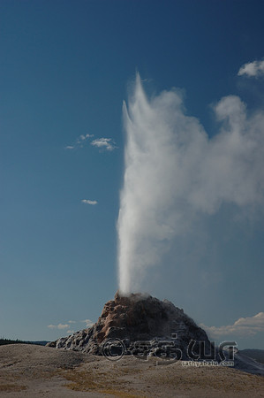 White Dome Geyser @ Firehole Lake Drive