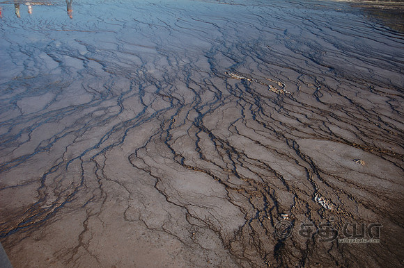 Midway Geyser Basin - Algaes