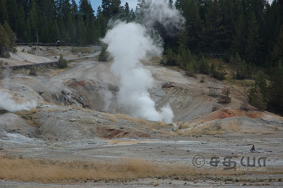 Black Growler Steam Vent @ Norris Geyser Basin