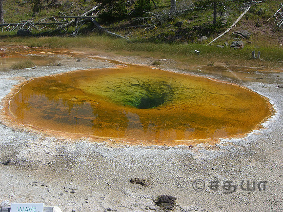 Wave Spring @ Upper Geyser Basin