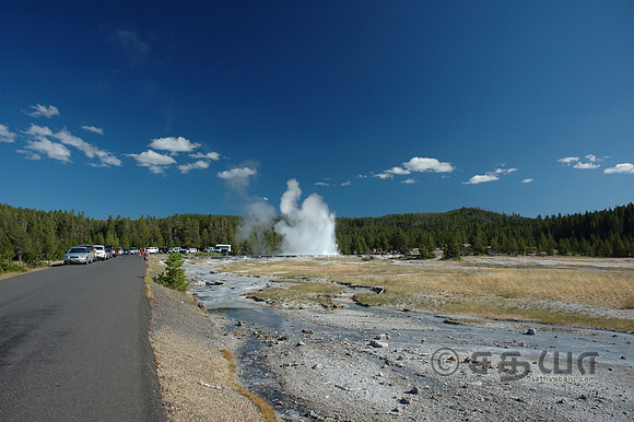 Great Fountain Geyser @ Firehole Lake Drive