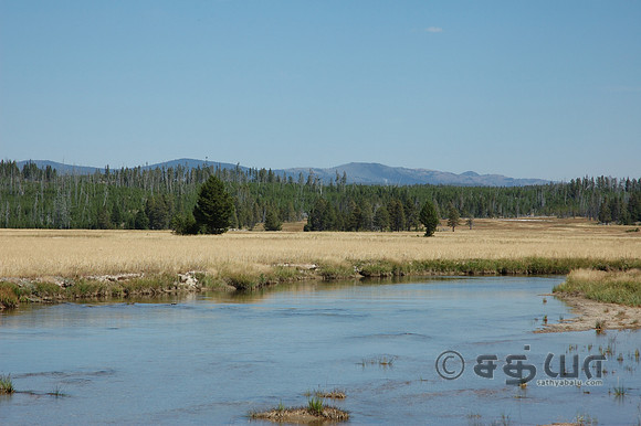 Scenery - River and grassland