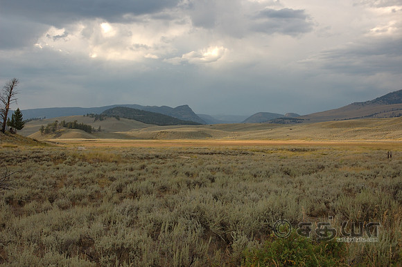 Scenery - Landscape @ Tower - Roosevelt Junction