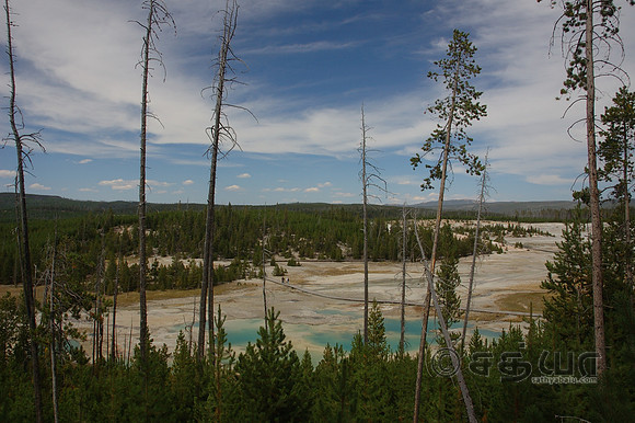 Scenery - Norris Geyser Basin