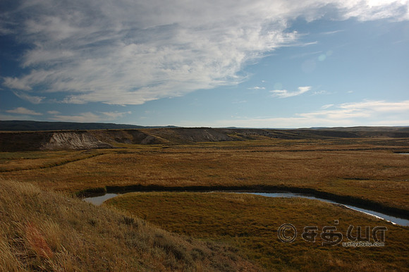 Scenery - Hayden Valley